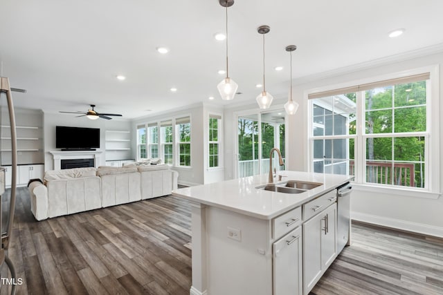 46 Waterfall Pointe, Chapel Hill, NC 27517 - kitchen featuring a sink, ornamental molding, a ceiling fan, and dark wood-style floors