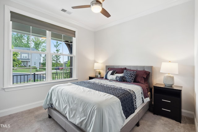 46 Waterfall Pointe, Chapel Hill, NC 27517 - bedroom with multiple windows, carpet, and visible vents