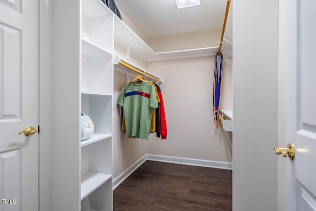 spacious closet with dark wood-style flooring