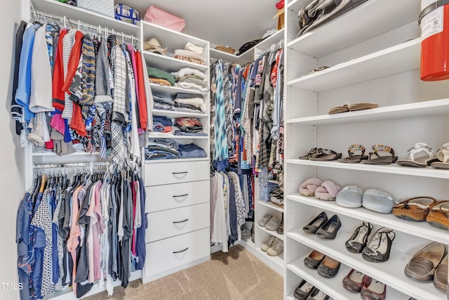 walk in closet featuring carpet flooring