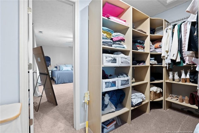 walk in closet with carpet floors