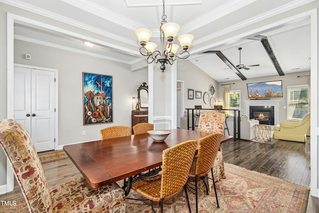 dining area featuring plenty of natural light, a glass covered fireplace, ceiling fan with notable chandelier, and wood finished floors