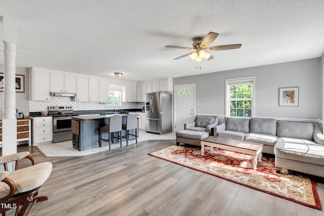 640 Short Journey Rd, Smithfield, NC 27577 - living area featuring a ceiling fan, light wood finished floors, a textured ceiling, and a wealth of natural light