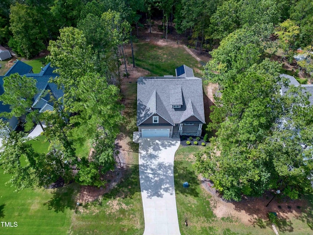 bird's eye view