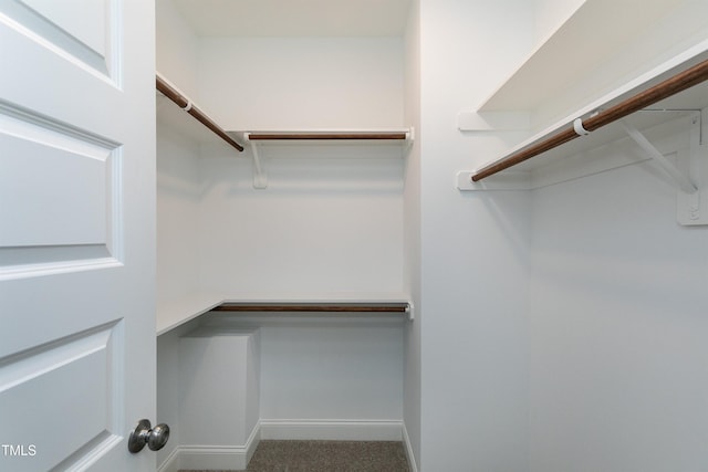 view of spacious closet