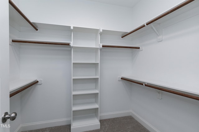 walk in closet featuring carpet flooring