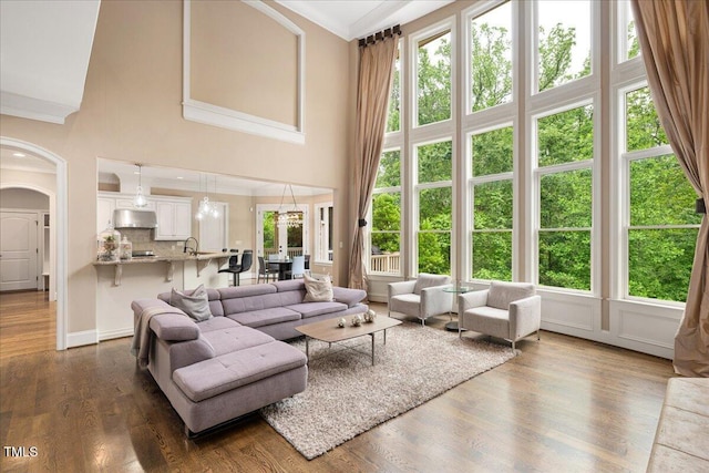 3601 Nightfall Ct, Raleigh, NC 27607 - living room with arched walkways, dark wood finished floors, a high ceiling, and ornamental molding