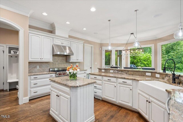 3601 Nightfall Ct, Raleigh, NC 27607 - kitchen featuring under cabinet range hood, a sink, backsplash, white cabinetry, and crown molding