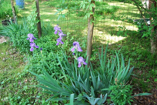 1013 Green St, Durham, NC 27701 - exterior details with fence