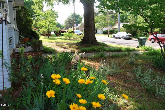 1013 Green St, Durham, NC 27701 - view of yard