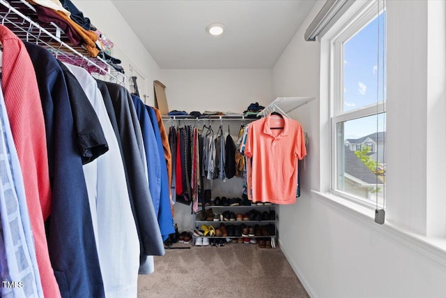 walk in closet with carpet flooring