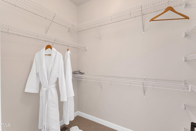 205 Carlyle Cir, Goldsboro, NC 27530 - spacious closet featuring carpet floors