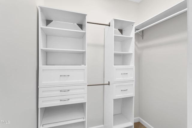 205 Carlyle Cir, Goldsboro, NC 27530 - view of walk in closet