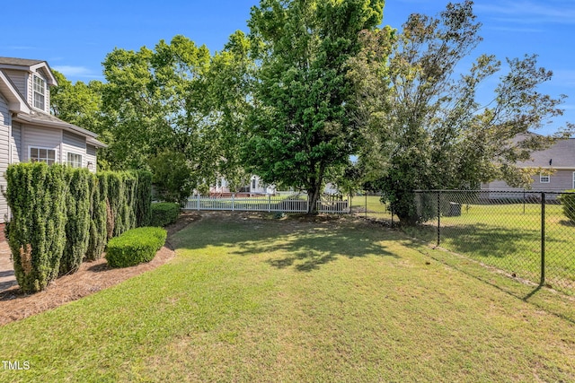 205 Carlyle Cir, Goldsboro, NC 27530 - view of yard