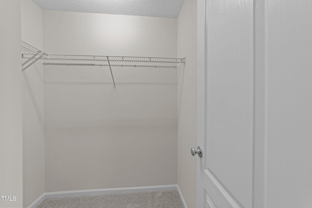 spacious closet with carpet floors