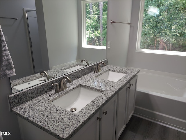 full bath with a sink, a garden tub, and a wealth of natural light