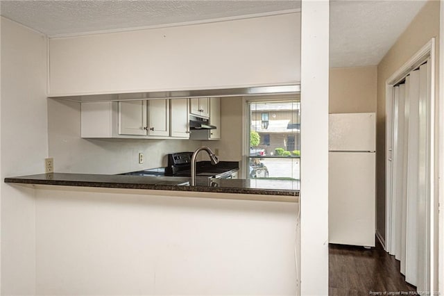 kitchen with range, a sink, freestanding refrigerator, dark wood-style floors, and under cabinet range hood
