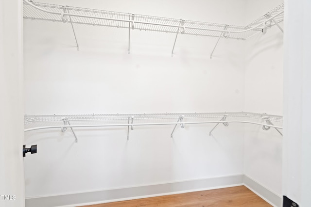 spacious closet featuring light wood finished floors