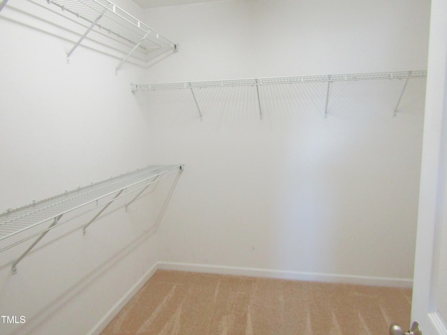 walk in closet featuring light carpet
