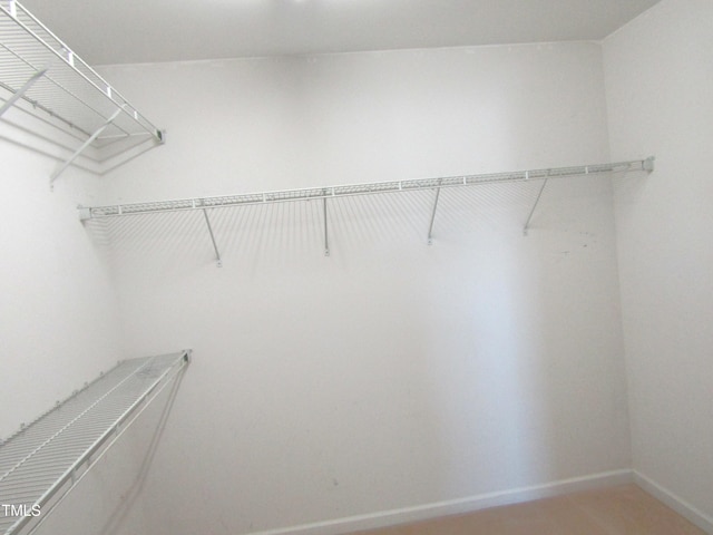 view of spacious closet