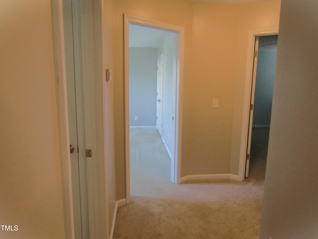 hall with baseboards and carpet