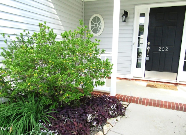 property entrance with a porch