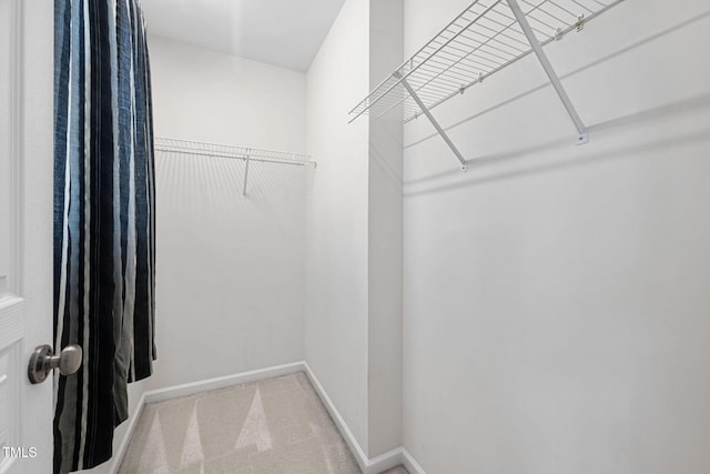 walk in closet featuring carpet flooring