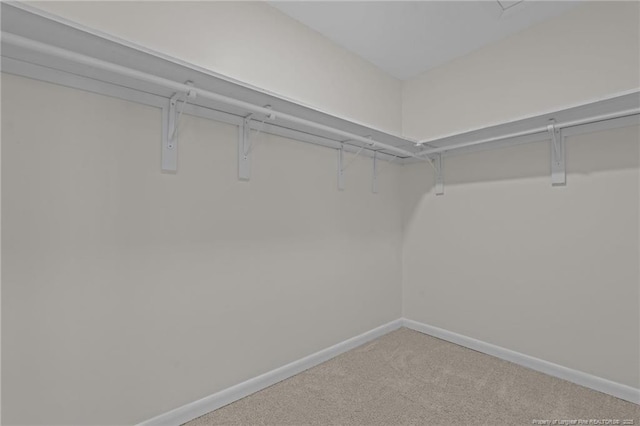 walk in closet featuring carpet floors