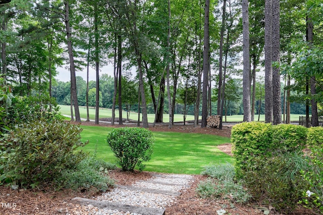 view of home's community featuring a yard
