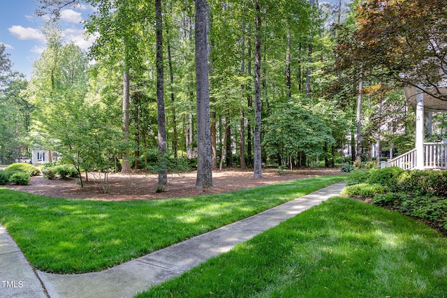 view of community featuring a yard