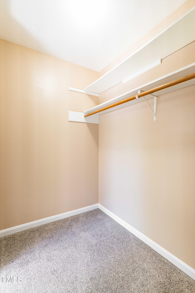 walk in closet with carpet flooring