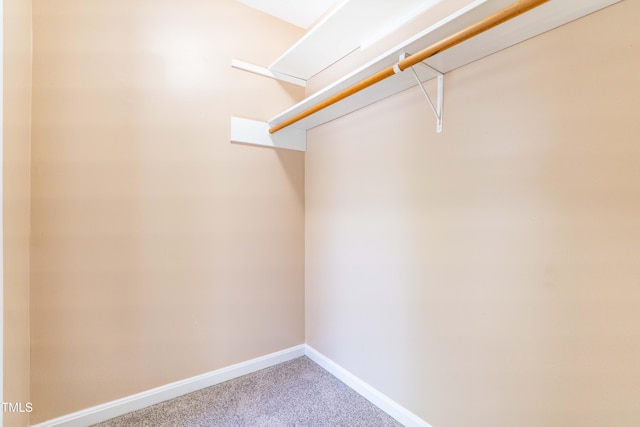 walk in closet featuring carpet