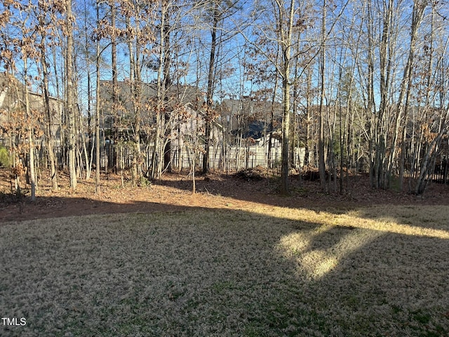145 Plantation Dr, Youngsville, NC 27596 - photo 49
