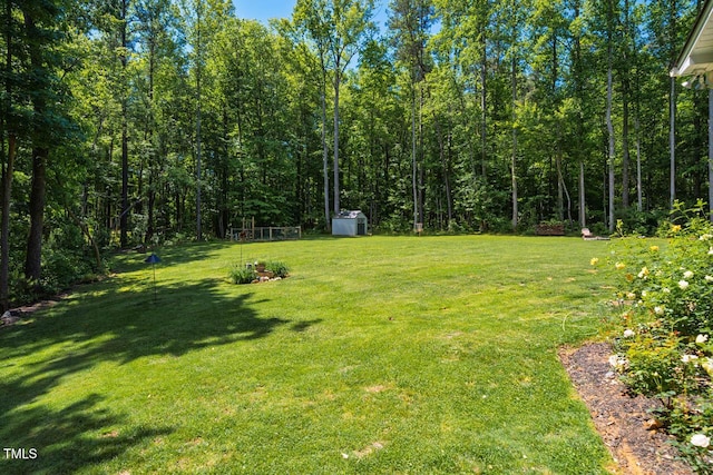 4072 Mackenzie Dr, Haw River, NC 27258 - view of green lawn with a shed and an outdoor structure