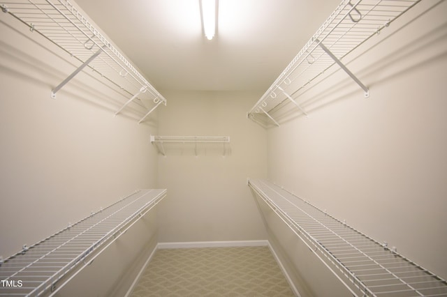 view of spacious closet