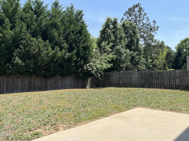 view of yard featuring a fenced backyard and a patio area