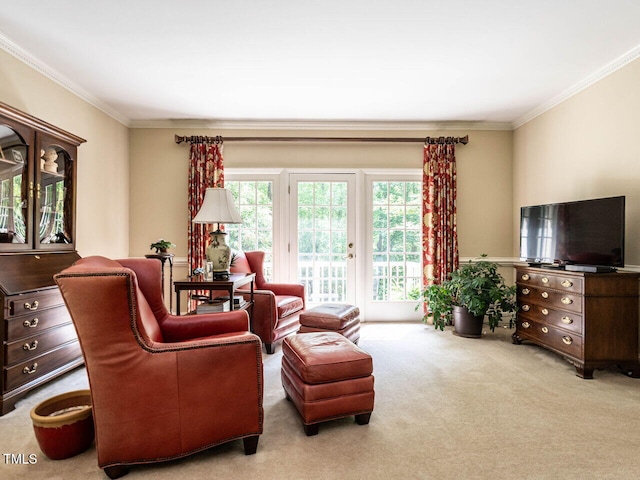 living room with ornamental molding and carpet