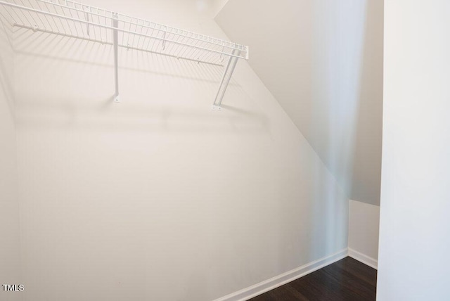walk in closet with dark wood finished floors