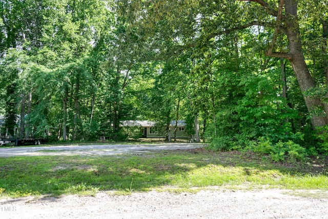 5213 Tomahawk Trl, Raleigh, NC 27610 - view of yard
