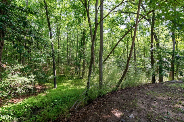 5213 Tomahawk Trl, Raleigh, NC 27610 - view of wooded area