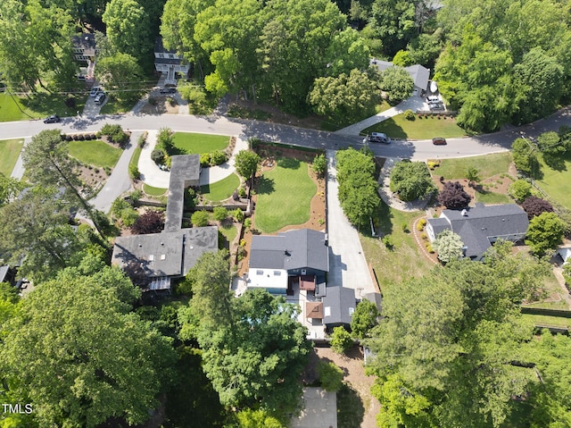 bird's eye view
