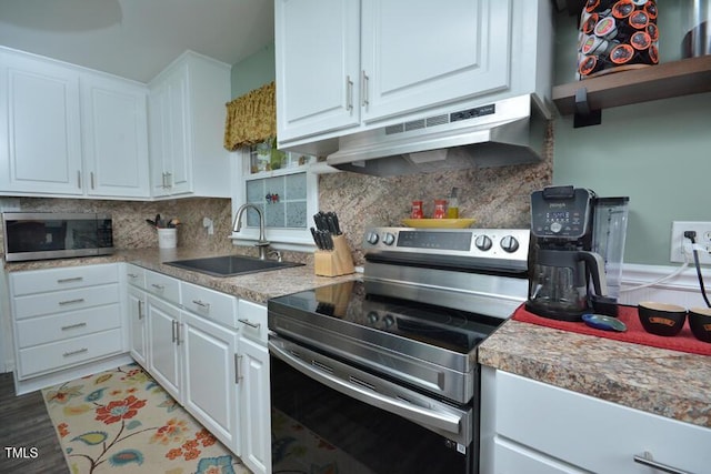 114 Short St E, Hillsborough, NC 27278 - kitchen featuring white cabinets, appliances with stainless steel finishes, a sink, tasteful backsplash, and under cabinet range hood