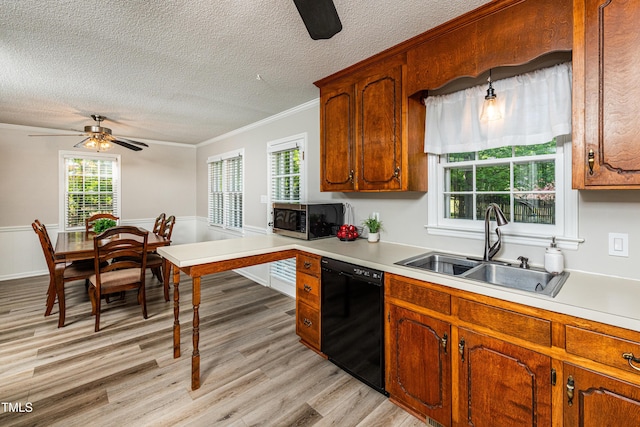 kitchen featuring a sink, a textured ceiling, black dishwasher, a ceiling fan, and stainless steel microwave