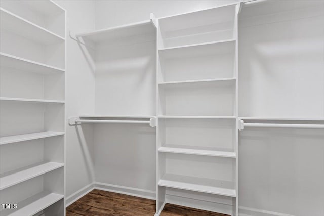 spacious closet featuring wood finished floors