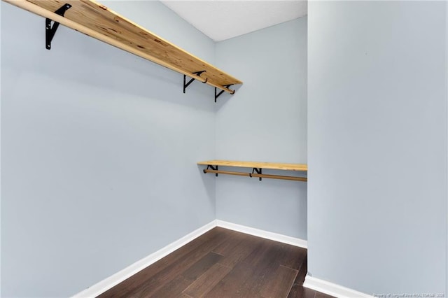 walk in closet with dark wood finished floors