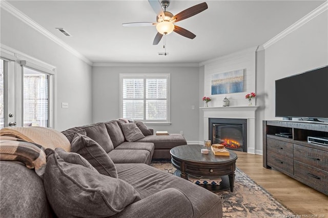 living room featuring crown molding, light wood finished floors, a glass covered fireplace, a ceiling fan, and visible vents