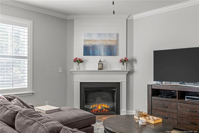 living room with crown molding, a large fireplace, and plenty of natural light