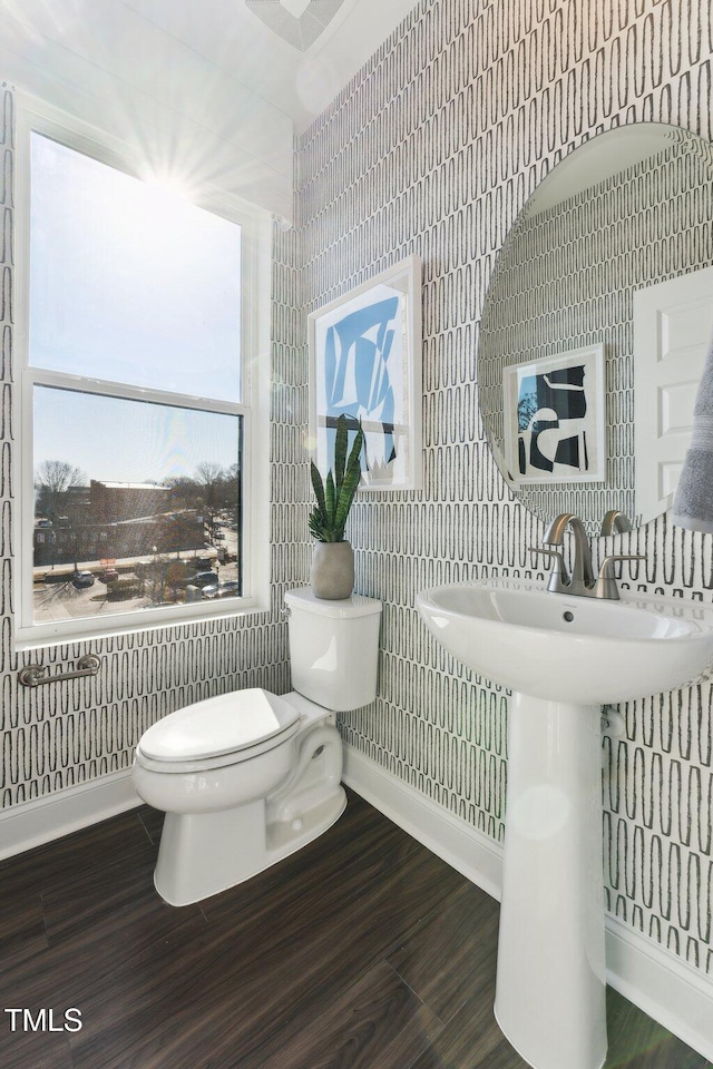 bathroom featuring toilet, tile walls, and wood finished floors