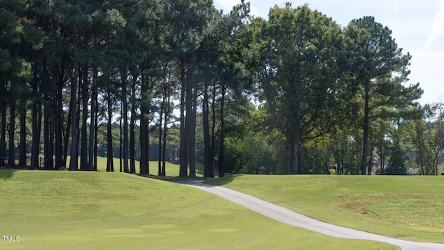 view of property's community featuring a lawn