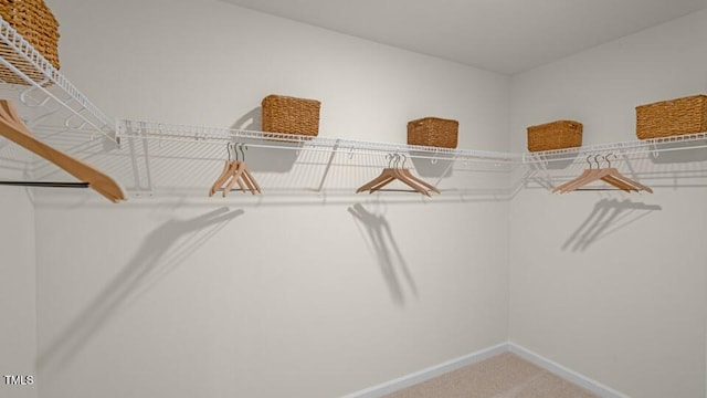 spacious closet with carpet